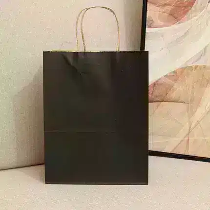 Recyclable Paper Bags