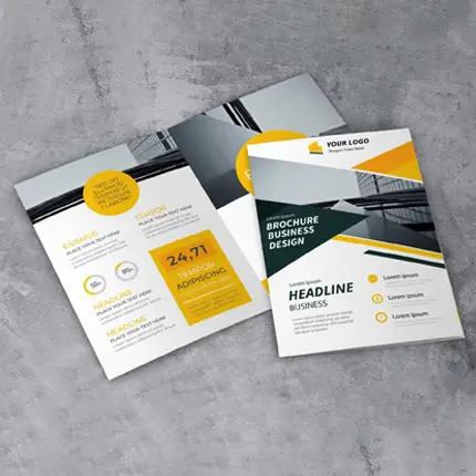 Paper Brochures