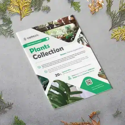 Custom Paper Brochures