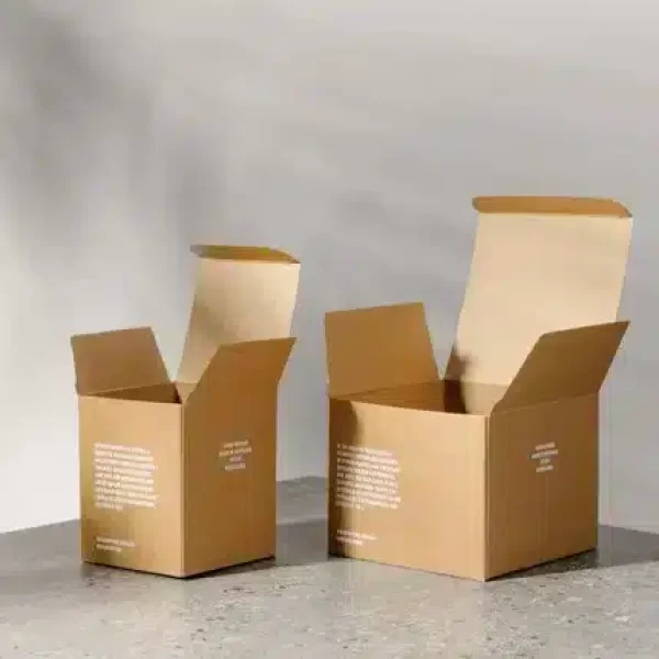 Kraft Top Tuck Boxes