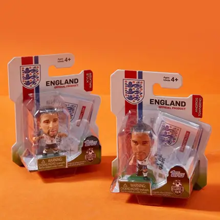 Custom Blister Printed Boxes